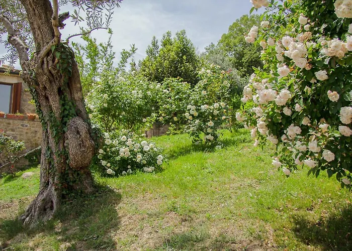 Kır Evi Mas Rovira *
