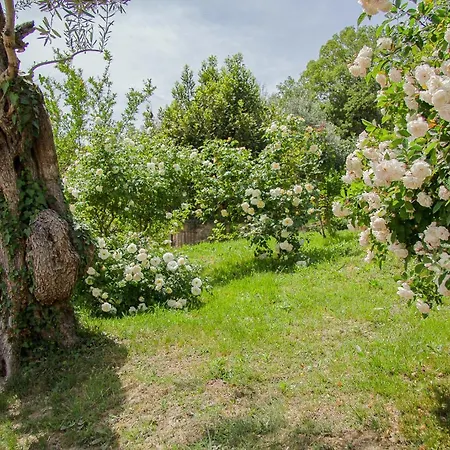 Lantställe Mas Rovira *